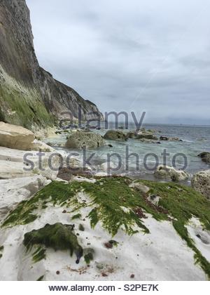 View of cliffs, seaweed covered rocks Stock Photo
