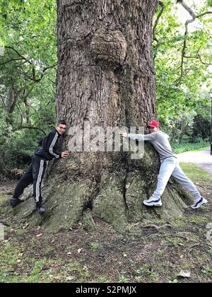 Two young men hugging an ancient London Plane tree in Carshalton , Surrey, UK Stock Photo