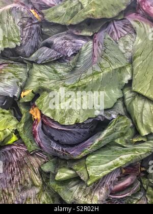 Full frame of fresh delicious ripe red cabbage, Brassica oleracea, purple cabbage, red kraut, or blue kraut leaves. Stock Photo