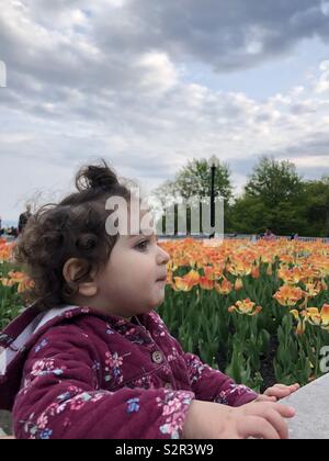 She is happy to see tulips for the first time Stock Photo