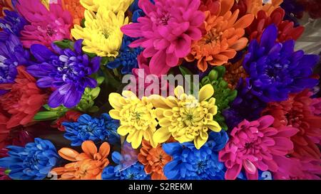 Detail of colorful chrysanthemums in bouquet Stock Photo