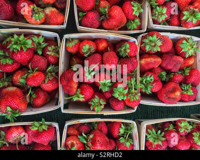 Farm fresh delicious ripe red strawberries in baskets. Stock Photo