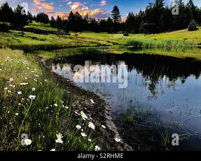 Reflection of clouds and trees in pond outside Lenore, Idaho after sunset in early evening  during summer. Stock Photo
