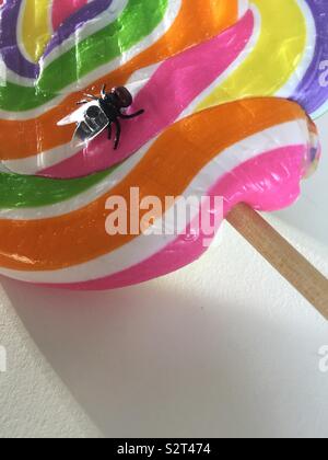 Housefly landing on a multi colored Candy lollipop Stock Photo