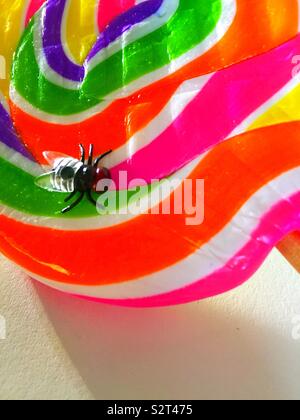 Housefly landing on a multi colored candy lollipop Stock Photo