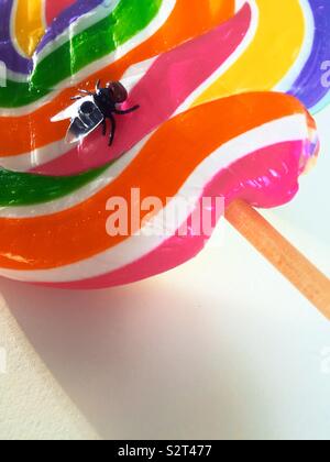 Housefly landing on a multi colored candy lollipop Stock Photo