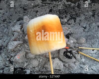 Toasted Marshmallow Stock Photo