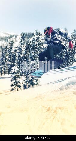 Bear Valley Ski Resort, Northern California. A snowboarder in the air doing a trick . Beautiful blue sky. Wearing red gloves and black and white jacket. Trees with snow in the background. Stock Photo