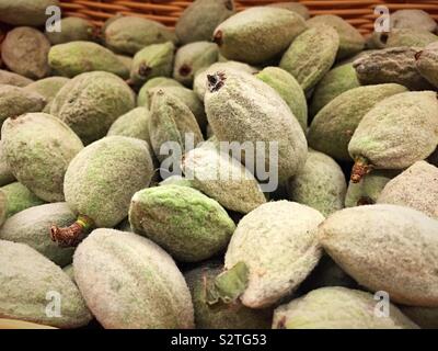 Fresh green almonds for sale in the produce aisle of the grocery store, New York City, USA Stock Photo