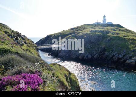 Strumble Head (Pen Strwmbl)  lighthouse on Ynysmeicl (St Michael’s Island) in Pencaer, Pembrokeshire, West Wales, UK.  Showing the suspension bridge leading to the lighthouse. Stock Photo
