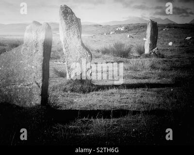 Black and white image of Callanish III (Cnoc Fillibhir Bheag) standing stones Stone circle, Isle of Lewis, Outer Hebrides, Scotland Stock Photo