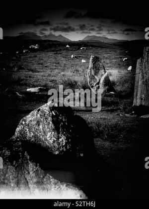 Black and white image of Callanish III (Cnoc Fillibhir Bheag) standing stones stone circle, Isle of Lewis, Outer Hebrides, Scotland Stock Photo