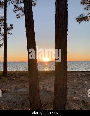A view of sunset with sun setting between two trees on the bay with reflections Stock Photo