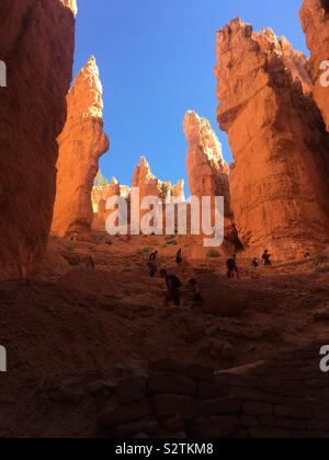 A trail with hikers switchbacks through Bryce Canyon National Park in southern Utah during the summer. Stock Photo