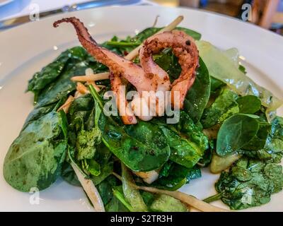 Salt and pepper squid at Rick Steins seafood restaurant in Padstow Cornwall Stock Photo