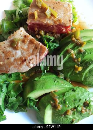 Gourmet entrée of seared Ahi tuna fillet on a bed of cilantro and avocados Stock Photo