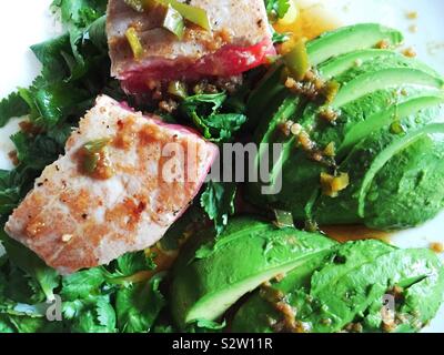 Gourmet entrée of seared tuna fillet on a bed of cilantro and avocados Stock Photo