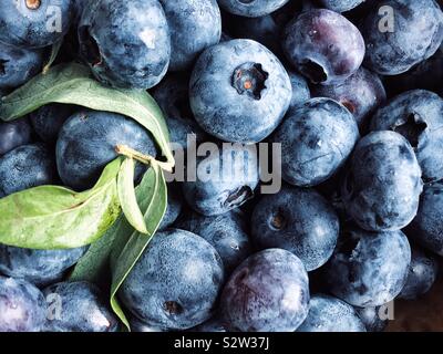 Fresh blueberries closeup Stock Photo