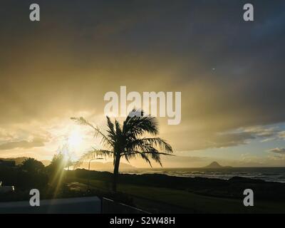 Sunset in the bay of plenty Stock Photo