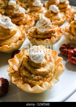 Pumpkin Cheesecake Tartlets Stock Photo