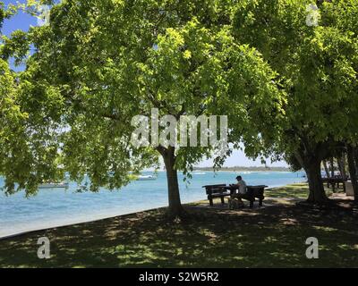 A man sits at a picnic table under lush green trees by Noosa River on the Sunshine Coast, Queensland, Australia Stock Photo