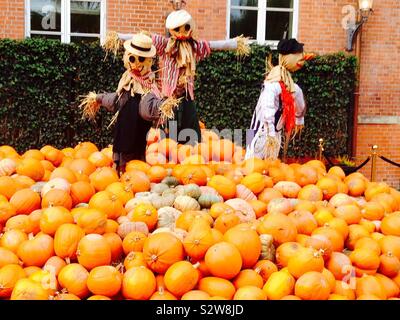 Scarecrow and pumpkin display.  Taken in Tivoli Gardens, Copenhagen. Denmark.  - København Stock Photo