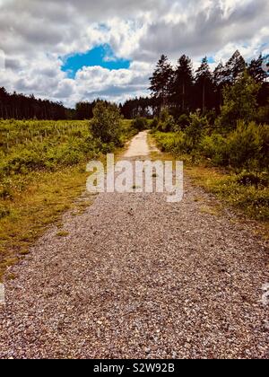 Beautiful scenic walking path in forest with clouds forming the shape of Australia on a blue sky - symbolic divine message - Reading, United Kingdom Stock Photo