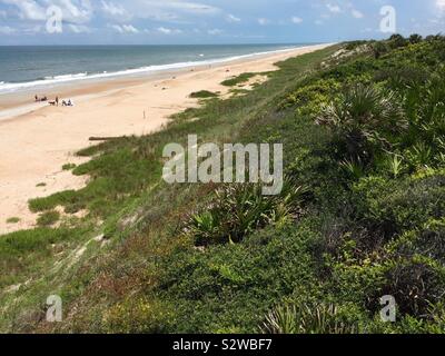 Florida beach dunes at Guana River Preserve in Ponte Vedra Beach, Florida. (USA) Stock Photo