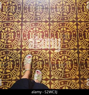Only Star Tiles, Beaune Hospital, France Stock Photo