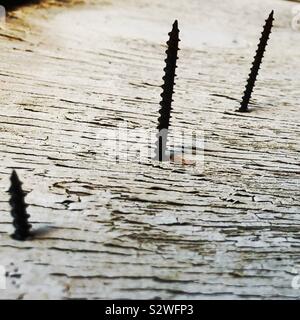 Rusty screws sticking out of weathered wood. Stock Photo