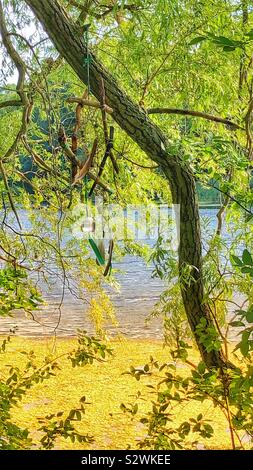 A dream catcher hanging from a tree branch. Stock Photo