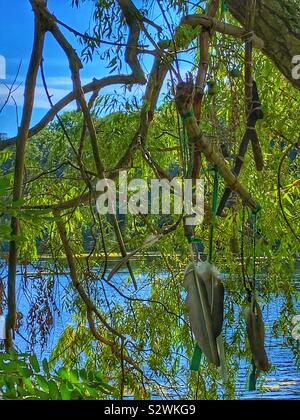 A dream catcher hangs from a tree branch in the woods around a pond. Stock Photo