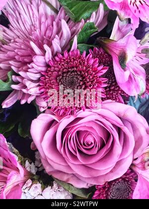 Beautiful bouquet of pink roses and chrysanthemums in full bloom. Stock Photo