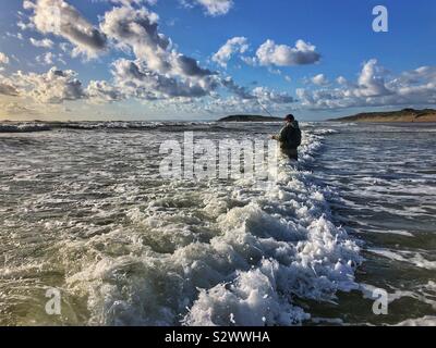 Angler fishing for bass in the surf at Llangennith, Gower, Swansea, South West Wales. Stock Photo