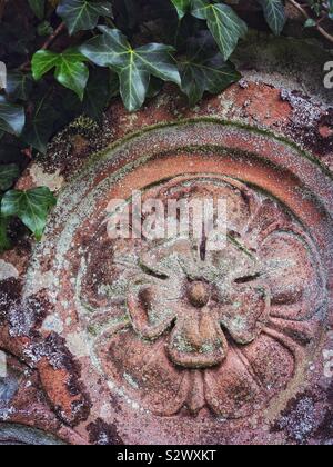 Carved flower motif on an old gravestone, with ivy growing over. Stock Photo