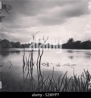 Rushden Lakes, UK, Aug 2019 Stock Photo