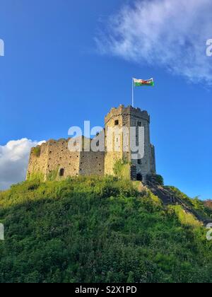 Cardiff castle keep flying the Welsh flag, early evening, September. Stock Photo
