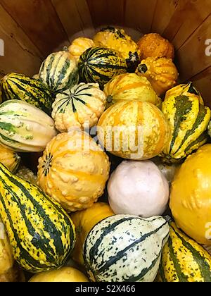 Fall gourds in a wooden basket Stock Photo