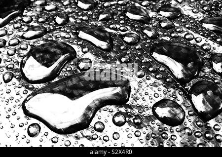 Globules of rain standing on a waterproof surface Stock Photo