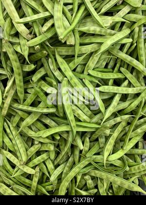 Fresh, raw, and ripe guar beans, Cyamopsis tetragonoloba, cluster beans. Stock Photo