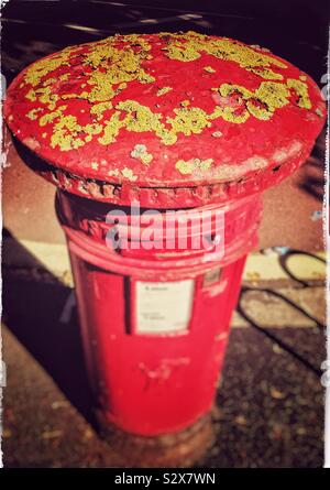 Royal Mail red pillar box with yellow fungus growing on its top Stock Photo