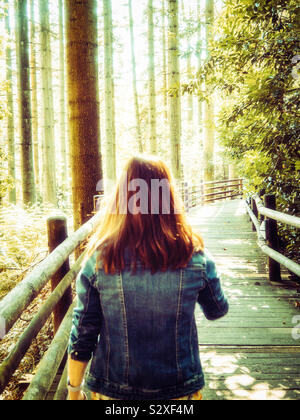 Woman walking along a wooden bridge in the forest Stock Photo