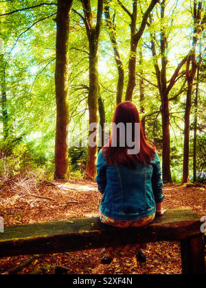 Woman sat alone on a wooden bench in the forest Stock Photo