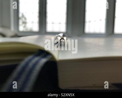 Ballpoint pen resting on open notebook. Stock Photo