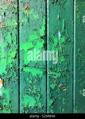Peeling green paint on an old wooden door. Stock Photo