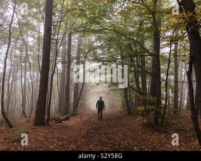 A male hiker in a misty forest Stock Photo