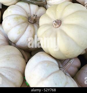 Mini white pumpkins Stock Photo
