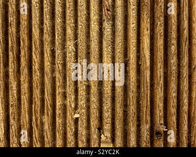 Fresh beautiful texture cut into a raw wood plank. Stock Photo
