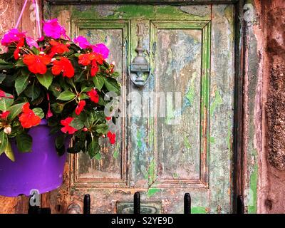 Flower basket ( begonias possibly) outside a front door. Stock Photo