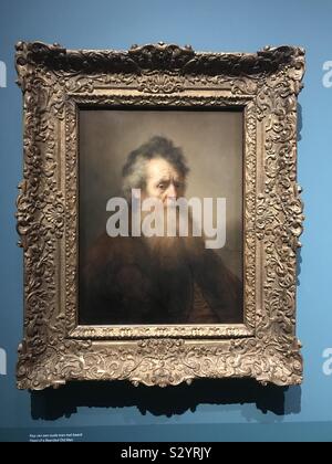 An Old Man with a Beard 1630 by Rembrandt Stock Photo - Alamy